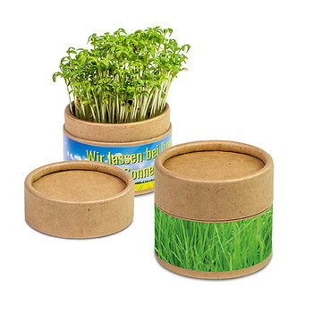 Pflanz-Cup mit Samen - Gras