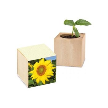 Pflanz-Holz Graspapier - Sonnenblume