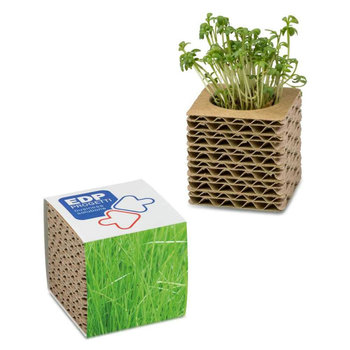 Wellkarton-Pflanzwürfel mit Samen - Gras